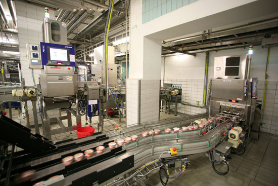 Stainless Steel Constructed X-ray System for Cheese