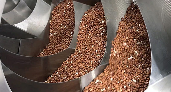 Equipment for continuous dry roasting of nuts