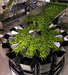 Green beans on multihead weigher