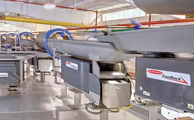Horizontal motion conveyors for pasta lines
