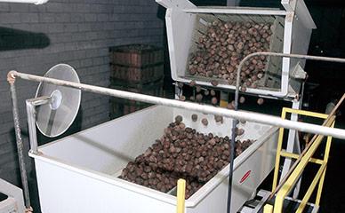 Potato handling machinery for kettle chips