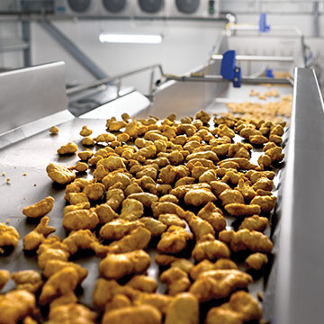 Chicken nuggets on horizontal motion conveyor