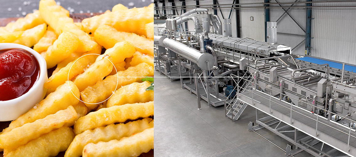 Equipo de producción de papas fritas