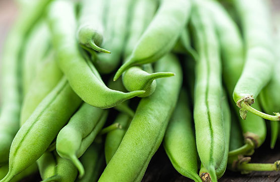 Florida Specialties Green Beans