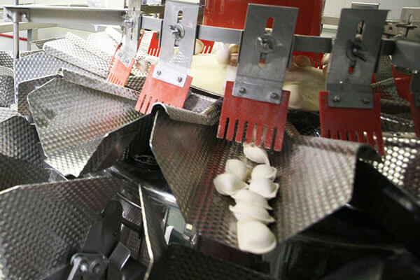 Dumplings on Ishida Scales