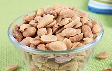 Peanut & Tree Nut Processors Association 2024