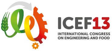 ICEF13 2019