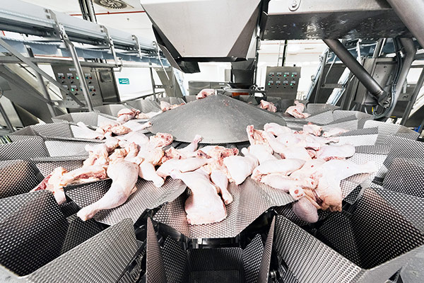 Industrial weighing and packaging of fresh chicken