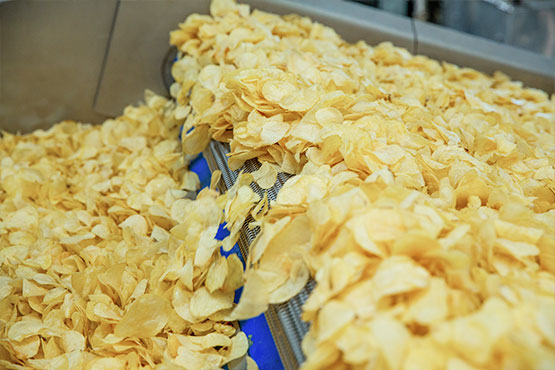 Industrial Potato Chips Frying Equipment