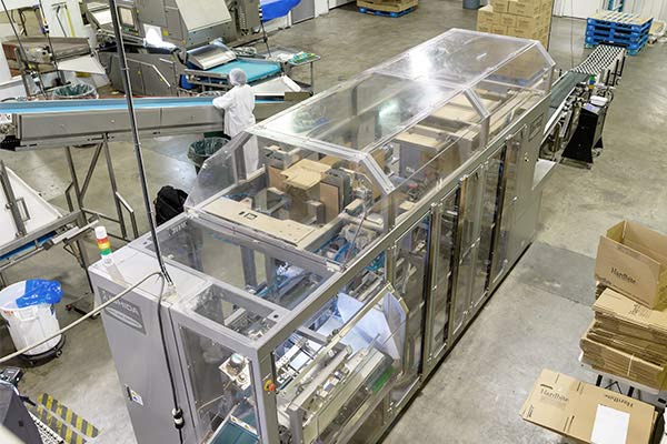 Snack Food Packaging Equipment