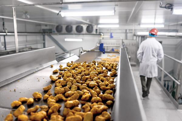 Conveying Systems for Food Manufacturing