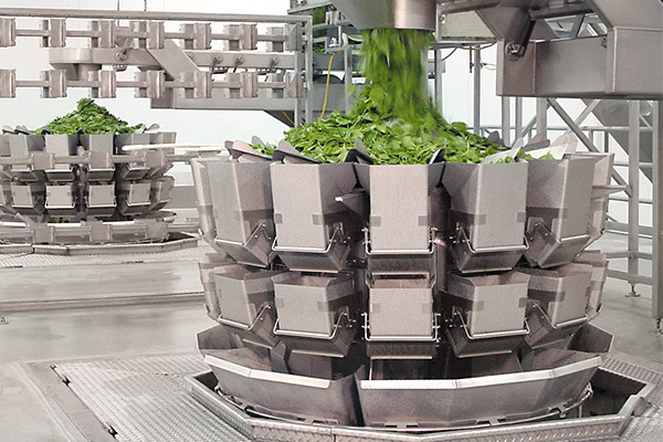 Fresh Produce and Salad Multihead Weighers