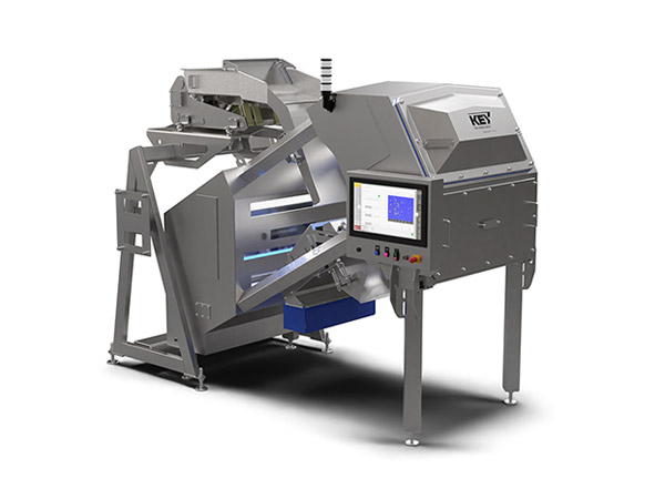 Industrial food sorter