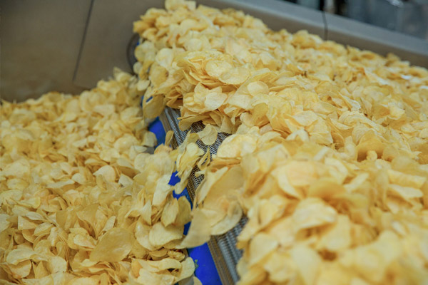 Potato chips on an industrial fryer