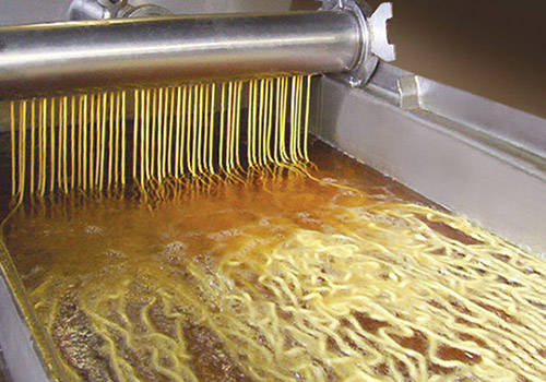 Snack Food Fryers
