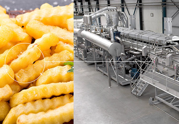 French Fry Production Blog Article