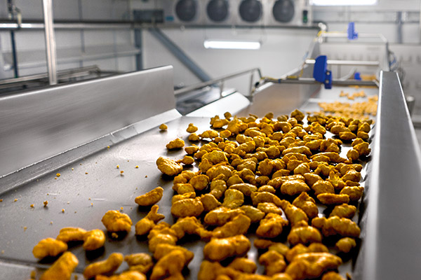 Horizontal Motion Conveyors & Feeders