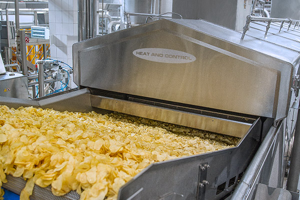 Snack Food Frying Systems