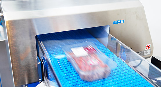 CEIA THS/210 Series Metal Detection System