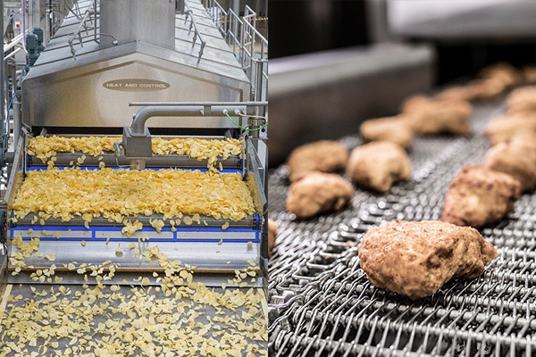 Snack Food and Process Prepared Processing Systems