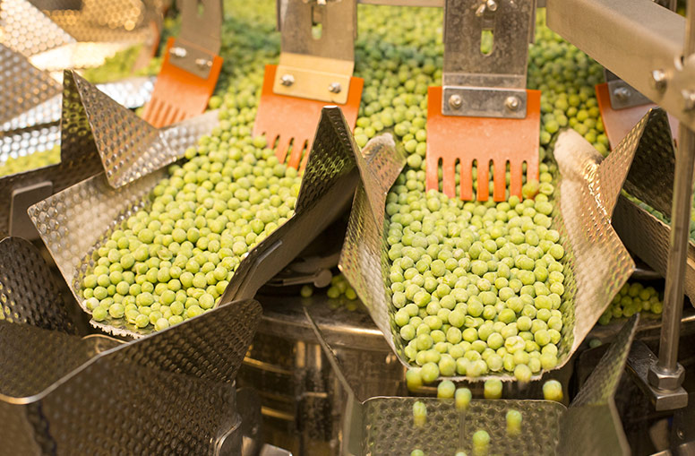 Ishida scale weighing green peas