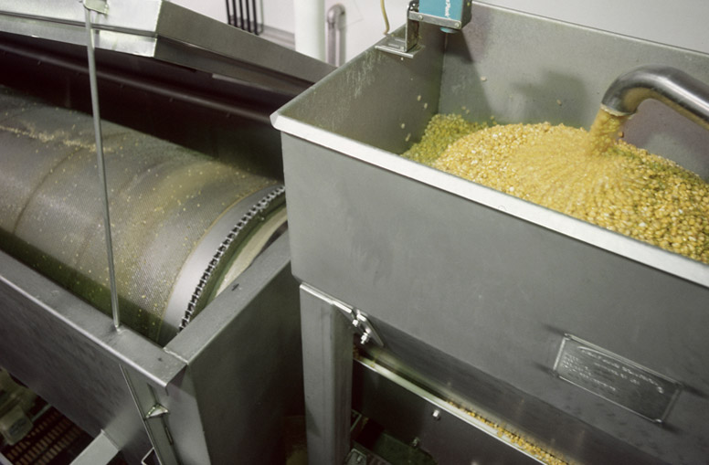 Wash corn before grinding and masa preparation