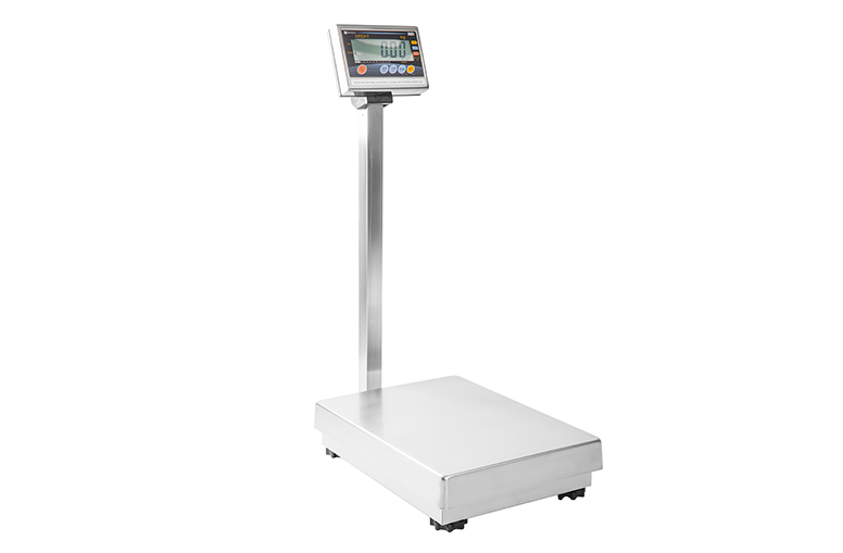 IW Series Platform Scale