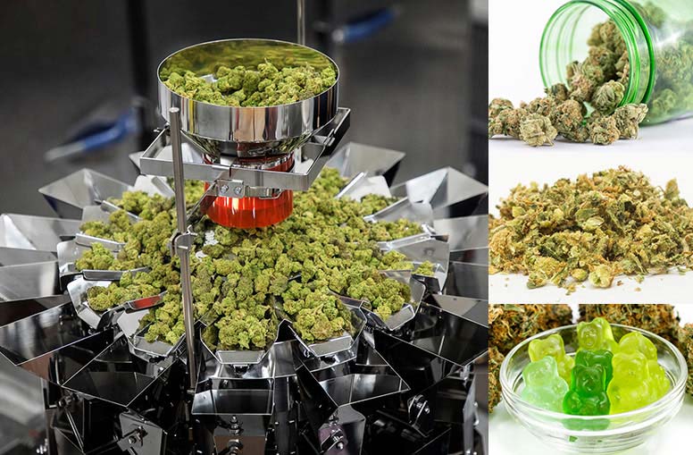 Ishida Micro Weigher Weighing Cannabis Products