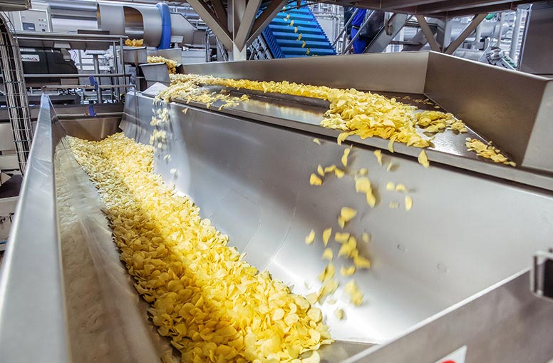 Potato chips on SwitchBack Accumulation Conveyor