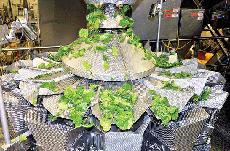 Ishida CCW weigher with Rotary Sweeper for salad application