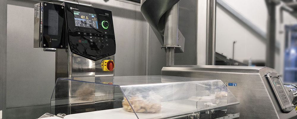 Inspection Systems for Food Processing Lines