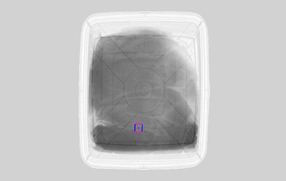 X-ray Inspection Systems for Food Products