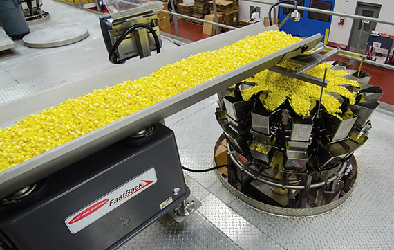 Horizontal Motion Conveyors Feeding Popcorn to Weighers