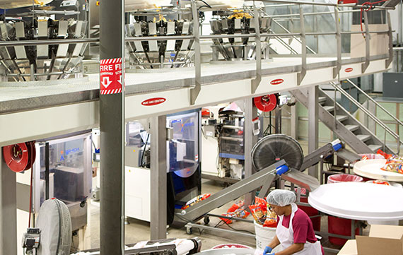 Festida Foods Packaging Room