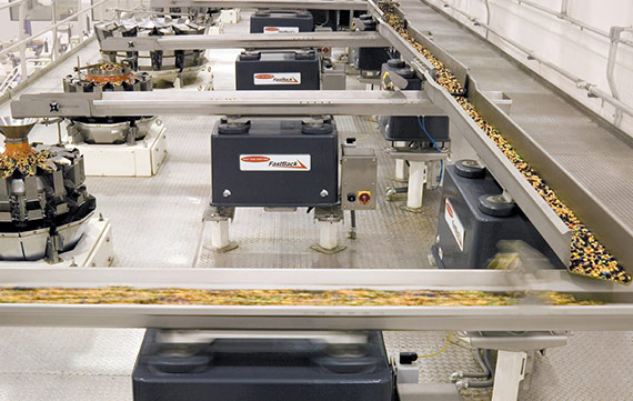 FastBack Conveyors feeding nuts to weighers