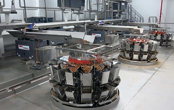 FastBack Conveyors transferring pretzels to Ishida Multihead Weighers