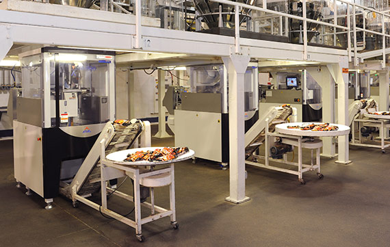Packaging Room for Snack Foods and Potato Chips