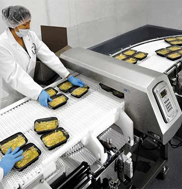 Metal Detection—Single Frequency vs. Multi-Frequency