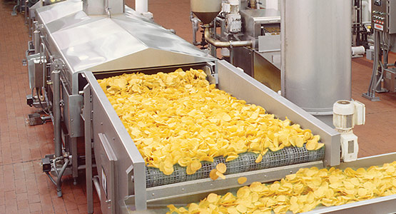 Continuous frying of tortilla chips with fryer support module