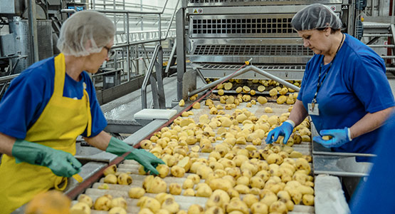 Inspection and trim conveyor for potatoes and vegetables