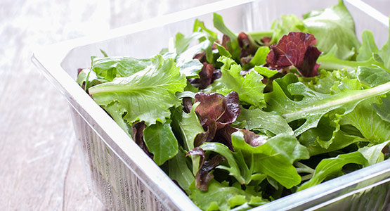 Equipment for filling salad into trays