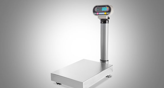 Ishida IG Series Platform Scale