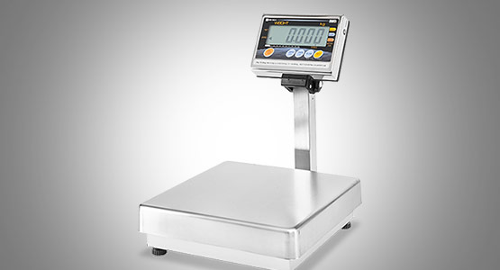 Ishida IW Series Platform Scale