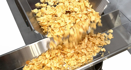 FastBack 4.0 Conveying Potato Chips
