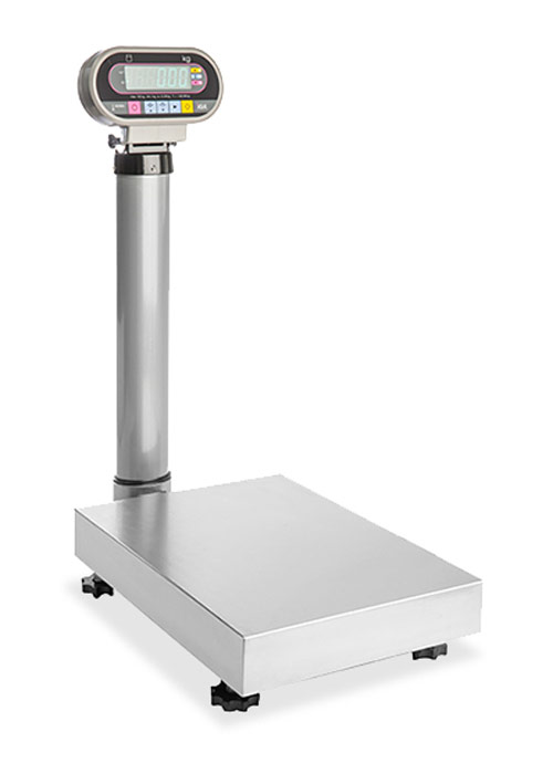 Ishida IG Series Platform Scale