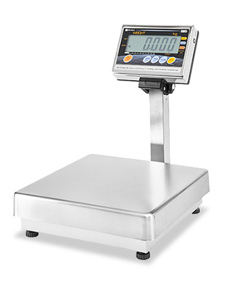 Ishida IW Series Platform Scale