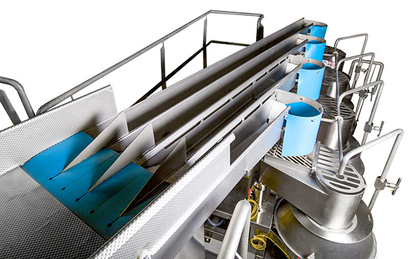 FastLane Slicer Infeed Conveyor