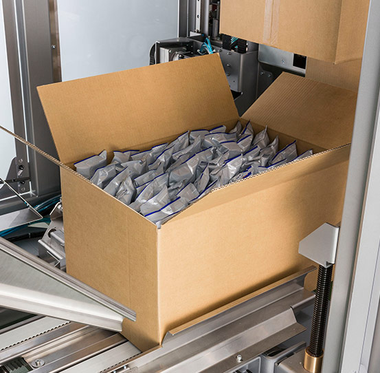 Snack bags packed in a corrugated carton