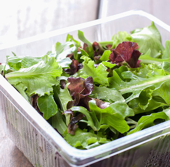 Equipo para llenar bandejas de ensalada