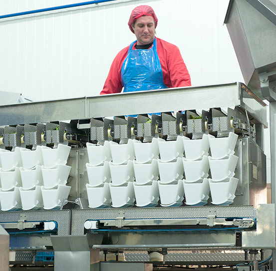 Semi-automatic weighing scale packing fresh produce into trays